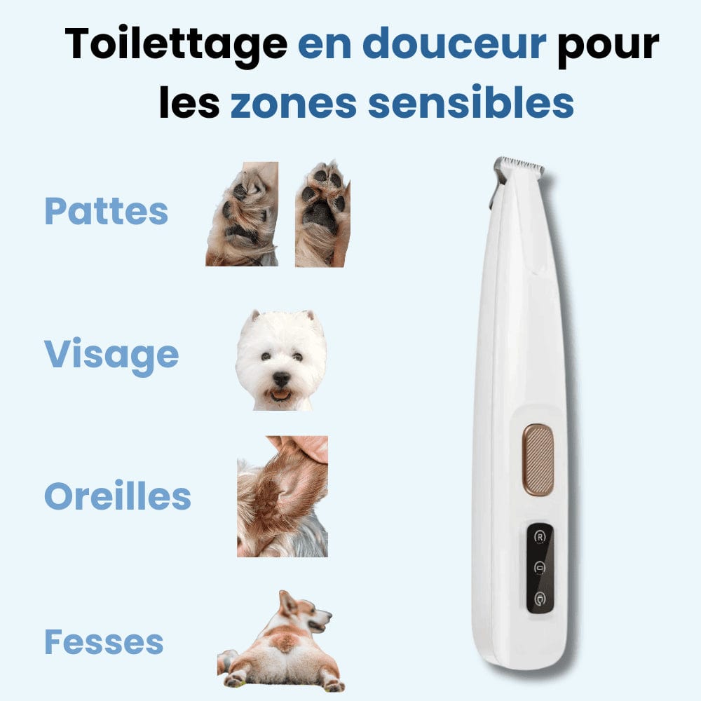 Tondeuse pour Pattounes de Chien