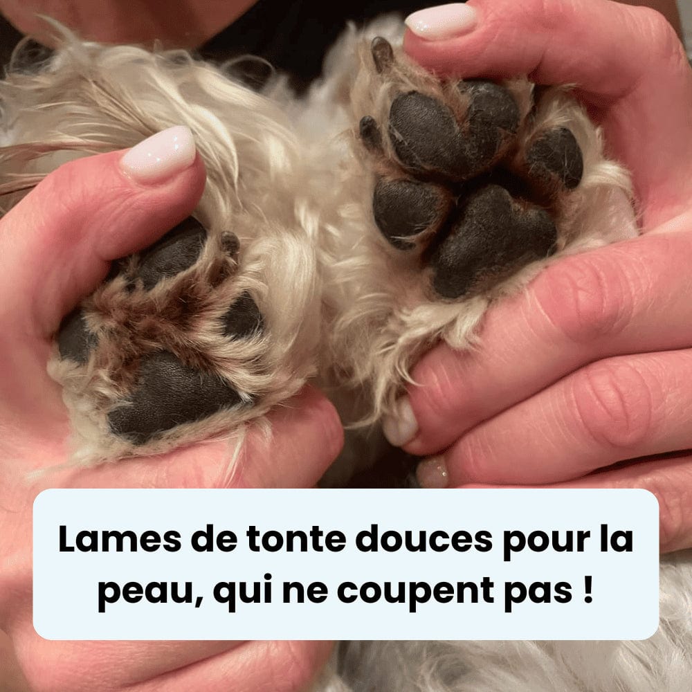 Tondeuse pour Pattounes de Chien