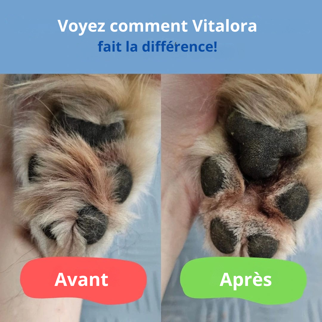 Tondeuse pour Pattounes de Chien