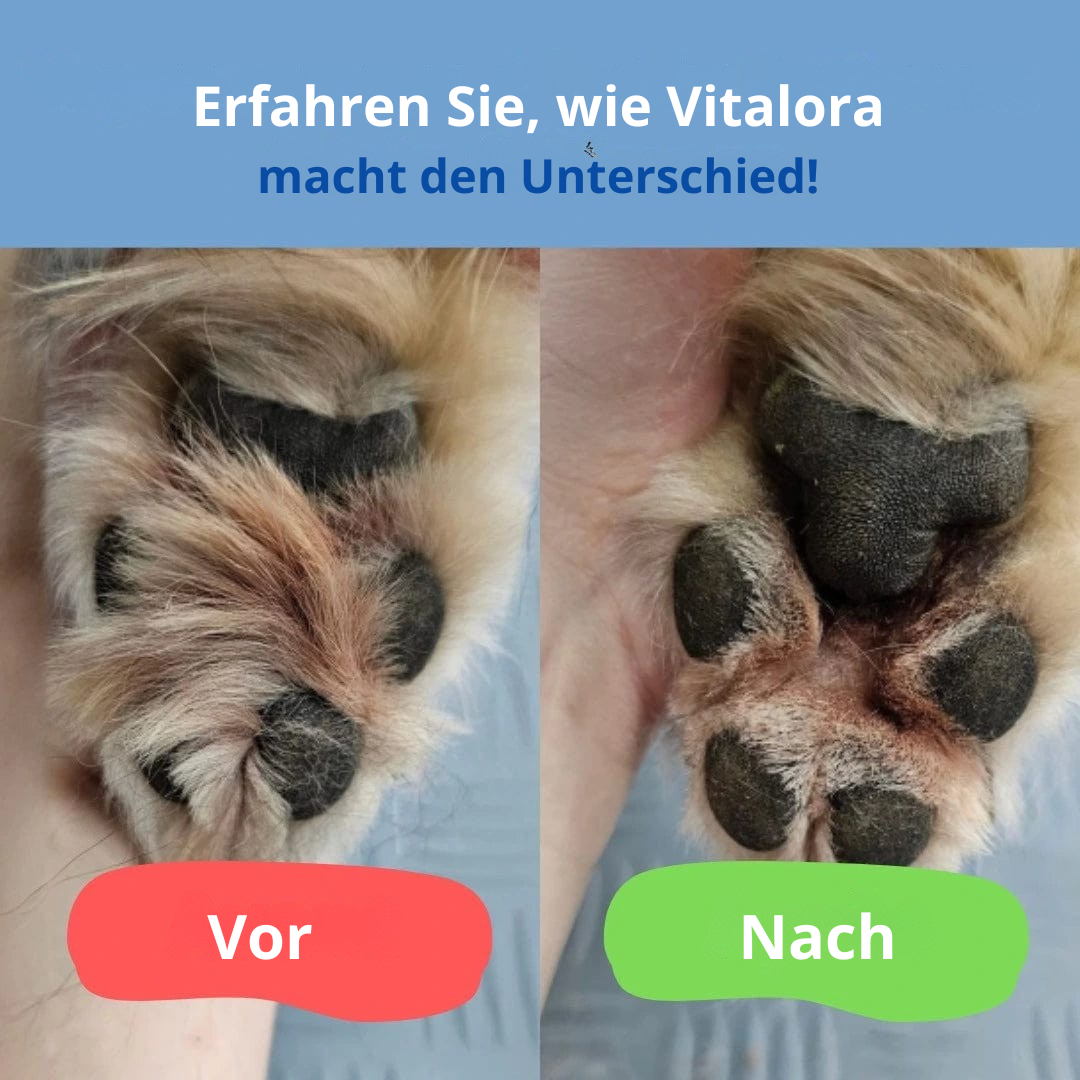 Trimmer für Hundeköpfe