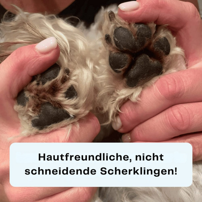 Trimmer für Hundeköpfe